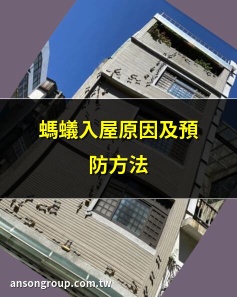 螞蟻入屋原因及預防方法 | 5大天然法寶驅螞蟻 | 螞蟻入侵家居的危害 | 天然驅螞蟻法大公開
