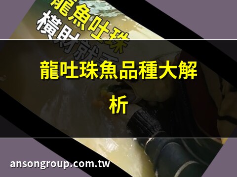 龍 吐 珠 魚